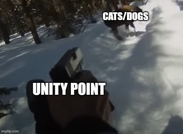 my school is awful | CATS/DOGS; UNITY POINT | image tagged in man shoots moose with his glock after being attacked | made w/ Imgflip meme maker