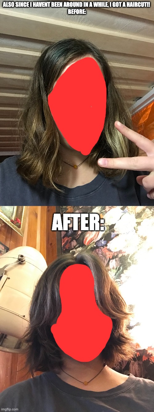 euphoria go brr | ALSO SINCE I HAVENT BEEN AROUND IN A WHILE, I GOT A HAIRCUT!! 
BEFORE:; AFTER: | made w/ Imgflip meme maker