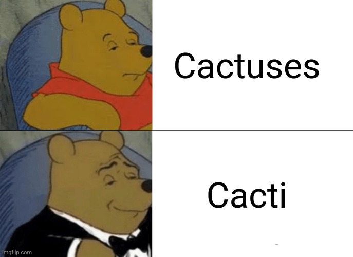 Cacti | Cactuses; Cacti | image tagged in memes,tuxedo winnie the pooh | made w/ Imgflip meme maker