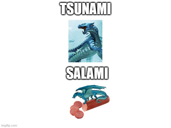 wof funny memes (Mod note: this is Lemonade_Cue-173 and this is hilarious and you deserve a follow) | TSUNAMI; SALAMI | made w/ Imgflip meme maker