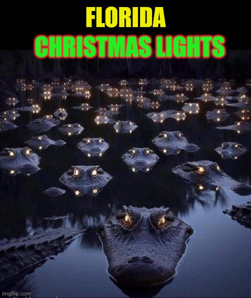 WTF- Welcome to Florida | FLORIDA; CHRISTMAS LIGHTS | image tagged in florida,christmas lights,alligators,eyes,meanwhile in florida,christmas memes | made w/ Imgflip meme maker