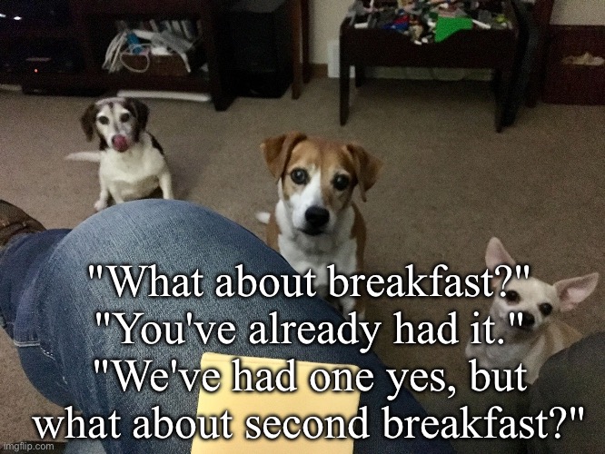 Breakfast | "What about breakfast?"
"You've already had it."
"We've had one yes, but what about second breakfast?" | image tagged in 3 beggers,breakfast club,breakfast,pippin second breakfast | made w/ Imgflip meme maker