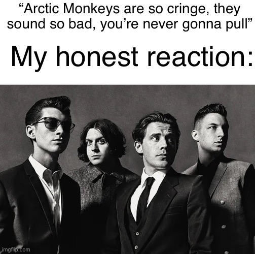 My honest reaction | “Arctic Monkeys are so cringe, they sound so bad, you’re never gonna pull”; My honest reaction: | image tagged in arctic,monkeys | made w/ Imgflip meme maker