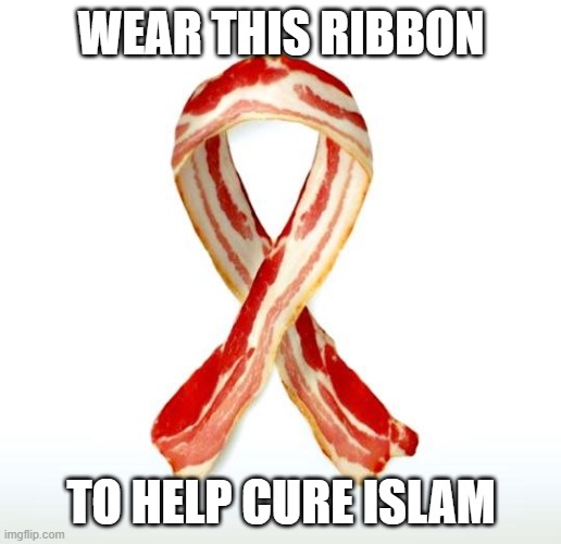WEAR THIS RIBBON TO HELP CURE ISLAM | image tagged in bacon ribbon | made w/ Imgflip meme maker