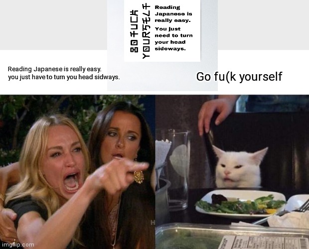 Woman Yelling At Cat Meme | Reading Japanese is really easy. you just have to turn you head sidways. Go fu(k yourself | image tagged in memes,woman yelling at cat | made w/ Imgflip meme maker
