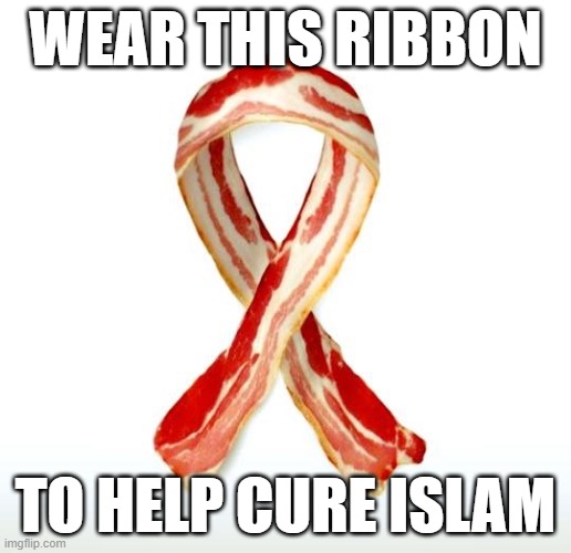 Wear it with pride!! | WEAR THIS RIBBON; TO HELP CURE ISLAM | image tagged in bacon ribbon,islam,democrats | made w/ Imgflip meme maker