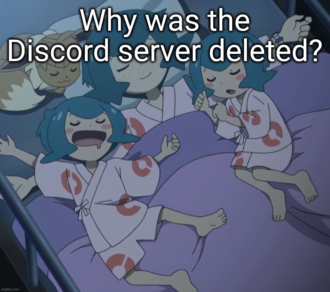 Polly didn't say why | Why was the Discord server deleted? | image tagged in lana sleeping | made w/ Imgflip meme maker