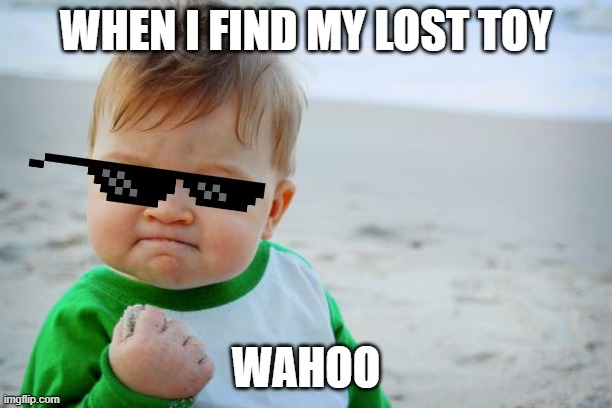 Baby found lost toy | WHEN I FIND MY LOST TOY; WAHOO | image tagged in memes,success kid original | made w/ Imgflip meme maker