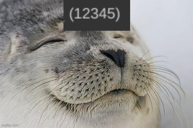 Satisfied Seal | image tagged in memes,satisfied seal | made w/ Imgflip meme maker