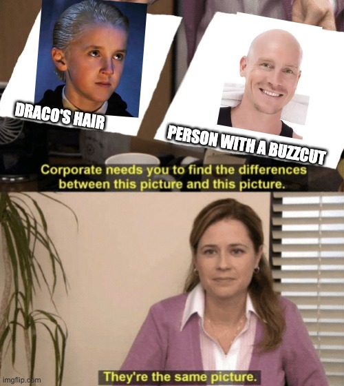 Hello and welcome! | DRACO'S HAIR; PERSON WITH A BUZZCUT | image tagged in corporate needs you to find the differences,furrfluf,harry potter,draco malfoy,funny,meme | made w/ Imgflip meme maker