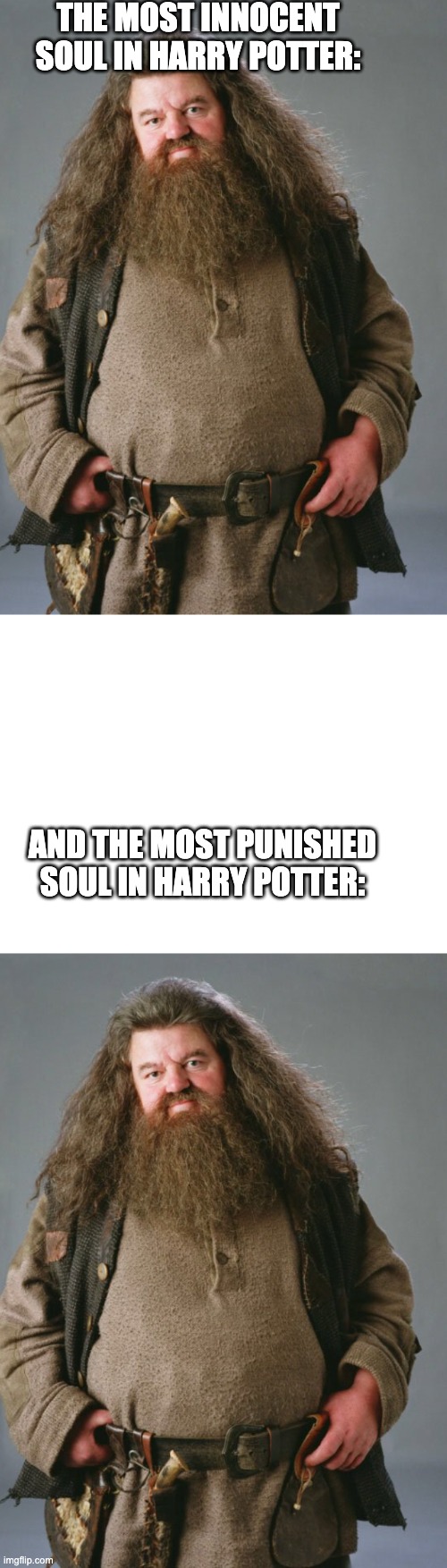 Do you dare to disagree?! | THE MOST INNOCENT SOUL IN HARRY POTTER:; AND THE MOST PUNISHED SOUL IN HARRY POTTER: | image tagged in hagrid,harry potter,furrfluf,meme,handmade,real | made w/ Imgflip meme maker