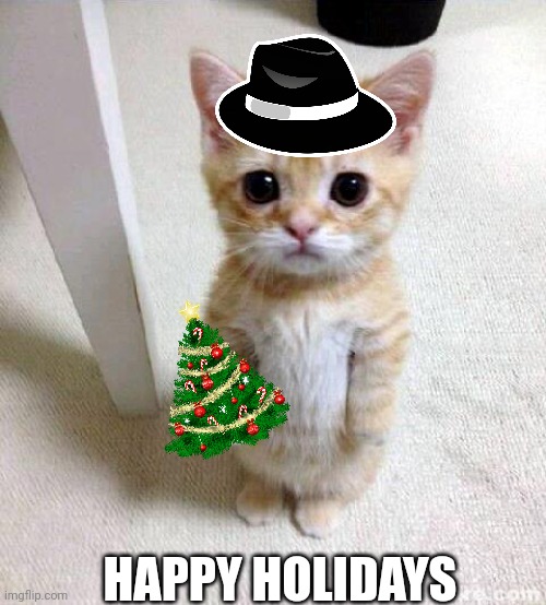 Yippee | HAPPY HOLIDAYS | image tagged in memes,cute cat | made w/ Imgflip meme maker