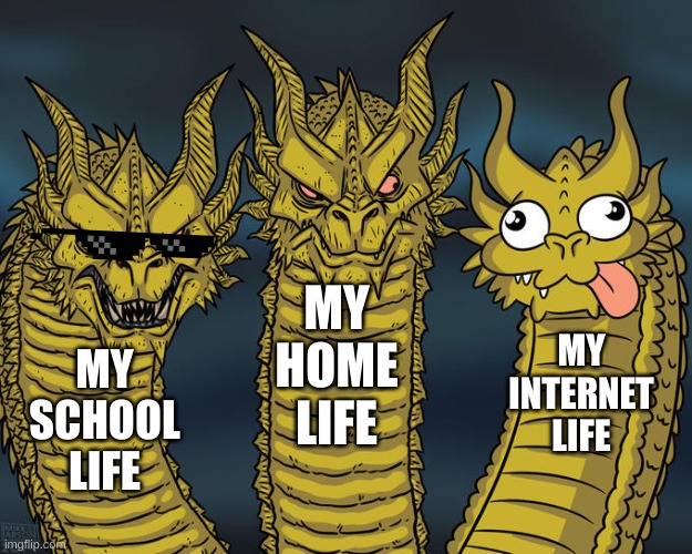 Three-headed Dragon | MY HOME LIFE; MY INTERNET LIFE; MY SCHOOL LIFE | image tagged in three-headed dragon | made w/ Imgflip meme maker