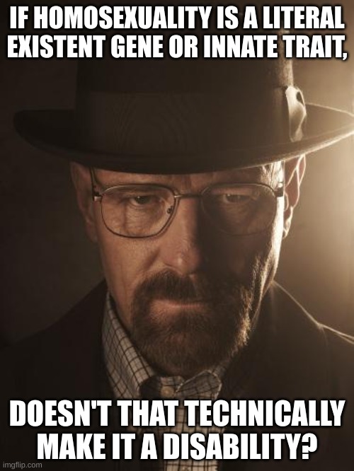 Walter White | IF HOMOSEXUALITY IS A LITERAL EXISTENT GENE OR INNATE TRAIT, DOESN'T THAT TECHNICALLY MAKE IT A DISABILITY? | image tagged in walter white | made w/ Imgflip meme maker
