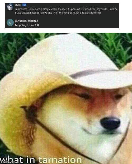 no context | image tagged in what in tarnation dog,no context,character,artificial intelligence | made w/ Imgflip meme maker
