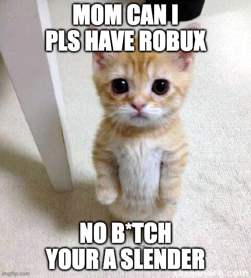 Cute Cat | MOM CAN I PLS HAVE ROBUX; NO B*TCH YOUR A SLENDER | image tagged in memes,cute cat | made w/ Imgflip meme maker