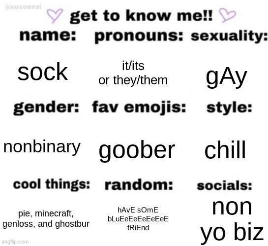 get to know me but better | sock; it/its or they/them; gAy; goober; chill; nonbinary; non yo biz; hAvE sOmE bLuEeEeEeEeEeE fRiEnd; pie, minecraft, genloss, and ghostbur | image tagged in get to know me but better | made w/ Imgflip meme maker