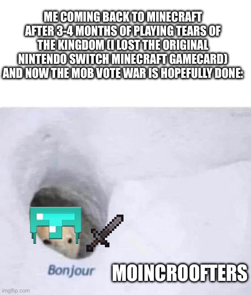 I haft returned | ME COMING BACK TO MINECRAFT AFTER 3-4 MONTHS OF PLAYING TEARS OF THE KINGDOM (I LOST THE ORIGINAL NINTENDO SWITCH MINECRAFT GAMECARD) AND NOW THE MOB VOTE WAR IS HOPEFULLY DONE:; MOINCROOFTERS | image tagged in bonjour,minecraft,mob vote,the return | made w/ Imgflip meme maker