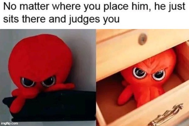 Where has this been all my life | image tagged in memes,funny | made w/ Imgflip meme maker