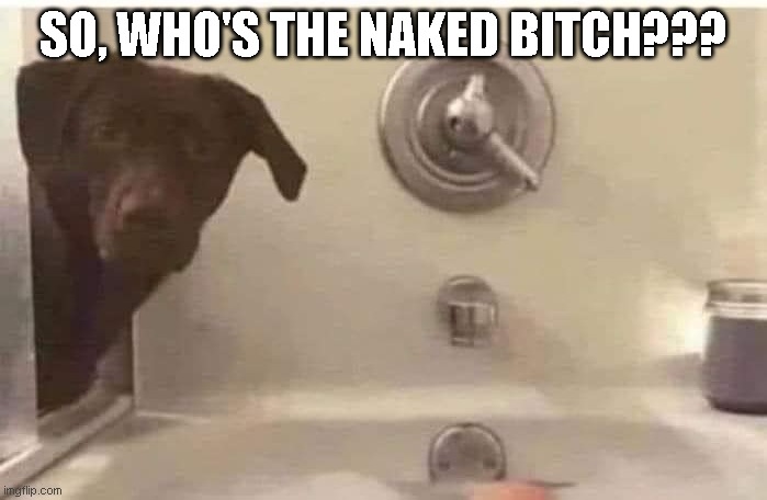 SO, WHO'S THE NAKED BITCH??? | image tagged in haha | made w/ Imgflip meme maker