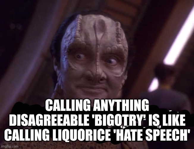 Calling anything disagreeable 'bigotry' is like calling liquorice 'hate speech' | CALLING ANYTHING DISAGREEABLE 'BIGOTRY' IS LIKE CALLING LIQUORICE 'HATE SPEECH' | image tagged in bigotry,star trek | made w/ Imgflip meme maker