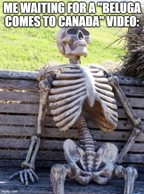 True | ME WAITING FOR A "BELUGA COMES TO CANADA" VIDEO: | image tagged in memes,waiting skeleton | made w/ Imgflip meme maker
