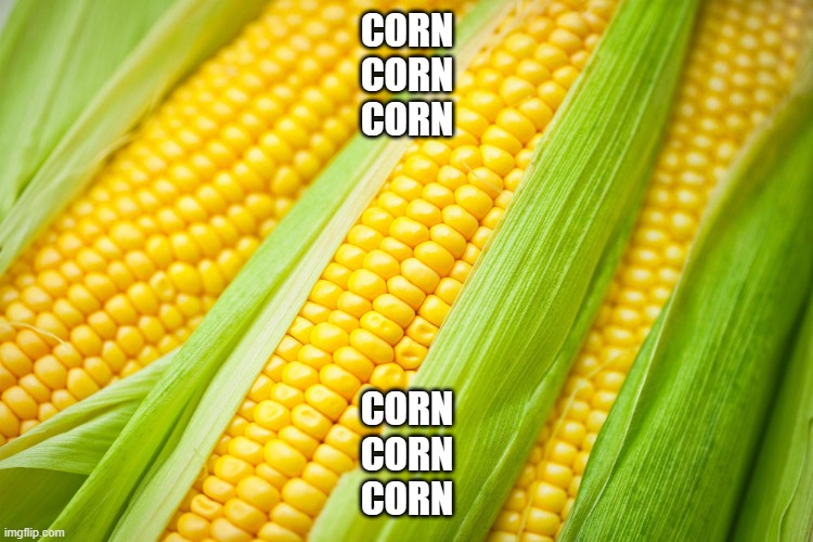 Corn | CORN





CORN
CORN; CORN
CORN
CORN | image tagged in corn,popcorn | made w/ Imgflip meme maker