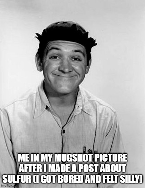 Goober Pyle | ME IN MY MUGSHOT PICTURE AFTER I MADE A POST ABOUT SULFUR (I GOT BORED AND FELT SILLY) | image tagged in goober pyle | made w/ Imgflip meme maker