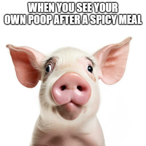 WHEN YOU SEE YOUR OWN POOP AFTER A SPICY MEAL | made w/ Imgflip meme maker