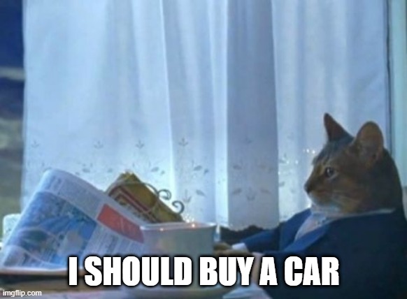 I just bought my car | I SHOULD BUY A CAR | image tagged in memes,i should buy a boat cat,funny | made w/ Imgflip meme maker
