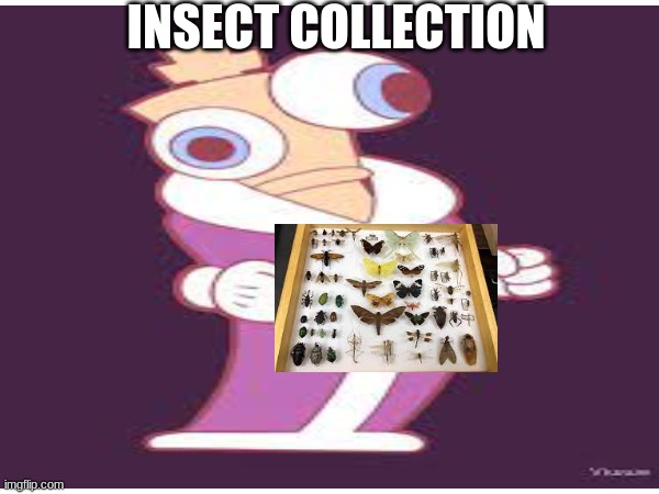 INSECT COLLECTION | INSECT COLLECTION | image tagged in the amazing digital circus | made w/ Imgflip meme maker