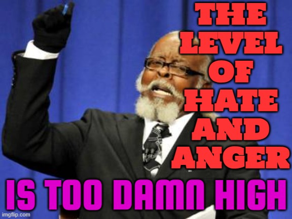 The level of hate and anger is too damn high. | THE
LEVEL
OF
HATE
AND
ANGER; IS TOO DAMN HIGH | image tagged in memes,too damn high,angry,hate,haters,party of haters | made w/ Imgflip meme maker