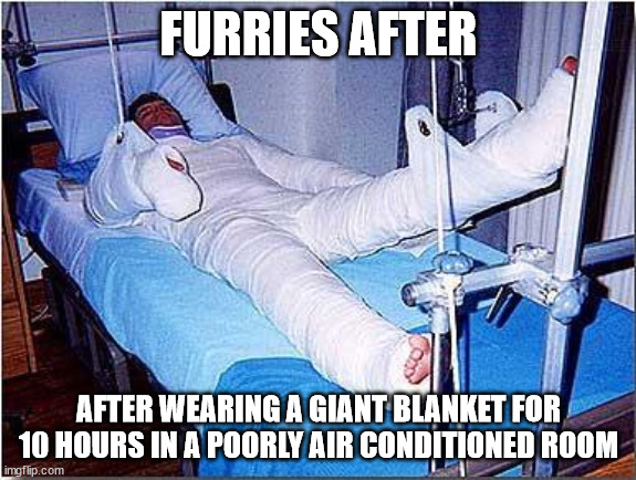 this is exactly why i dont fursuit | FURRIES AFTER; AFTER WEARING A GIANT BLANKET FOR 10 HOURS IN A POORLY AIR CONDITIONED ROOM | image tagged in hospital,furry,fursuit | made w/ Imgflip meme maker