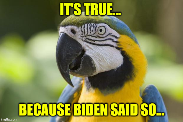parrot | IT'S TRUE... BECAUSE BIDEN SAID SO... | image tagged in parrot | made w/ Imgflip meme maker