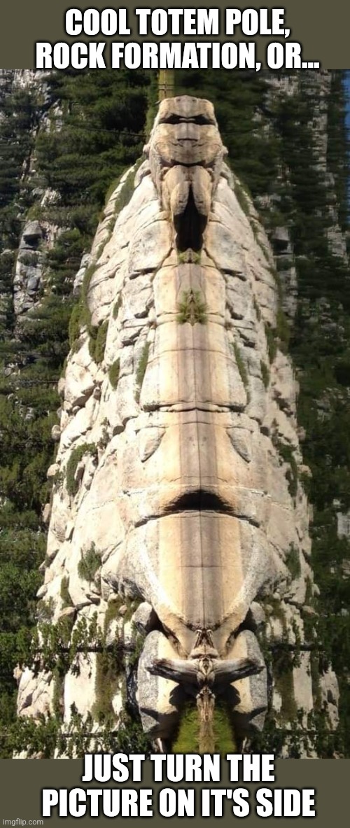 Rock face | COOL TOTEM POLE, ROCK FORMATION, OR... JUST TURN THE PICTURE ON IT'S SIDE | image tagged in rocks,nature,faces,outdoors,weird stuff | made w/ Imgflip meme maker