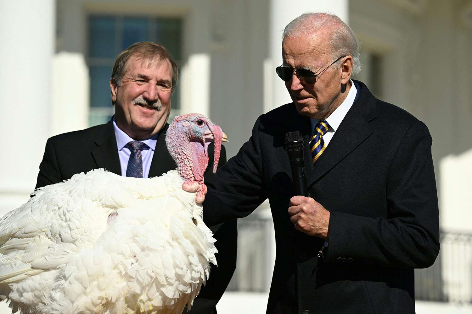 Biden Pardons Turkey Blank Meme Template