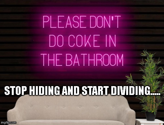 STOP HIDING AND START DIVIDING..... | image tagged in funny memes | made w/ Imgflip meme maker
