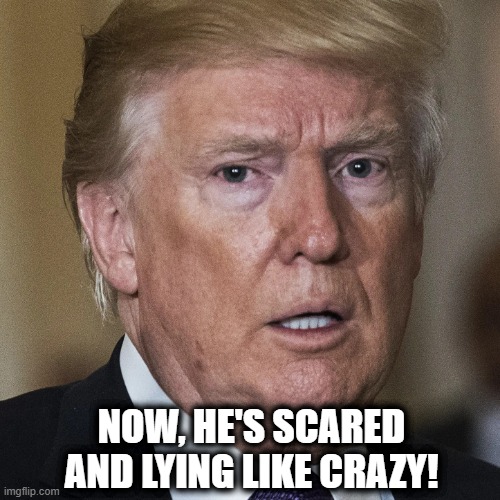 Donald Trump, Liar & Thief, Chief of LIes, Chief Liar. | NOW, HE'S SCARED AND LYING LIKE CRAZY! | image tagged in donald trump,chief of lies,president bigot,liar and creep | made w/ Imgflip meme maker