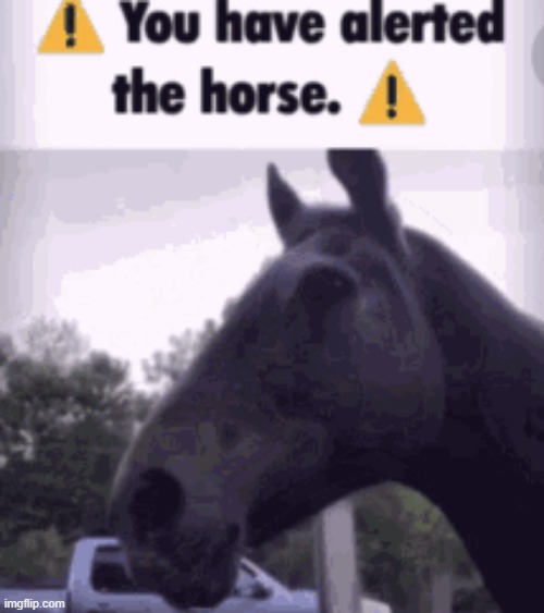 the meme below has alerted the horse | image tagged in you have alerted the horse static | made w/ Imgflip meme maker