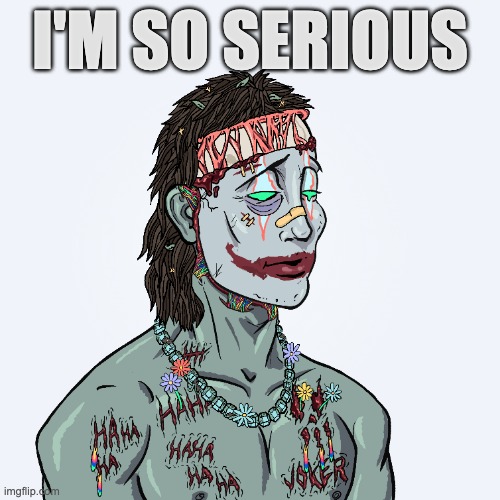 JOKER | I'M SO SERIOUS | image tagged in joker,haha,lol so funny,sarcastic,nft,im seriousd | made w/ Imgflip meme maker