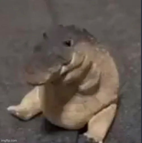 This image goes hard. Feel free to screenshot. | made w/ Imgflip meme maker