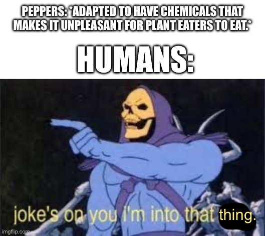 IDK why but we just go for it. | PEPPERS: *ADAPTED TO HAVE CHEMICALS THAT MAKES IT UNPLEASANT FOR PLANT EATERS TO EAT.*; HUMANS:; thing. | image tagged in jokes on you im into that shit | made w/ Imgflip meme maker
