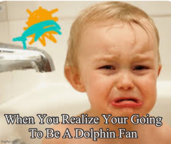 Miami Dolphins | image tagged in miami dolphins | made w/ Imgflip meme maker
