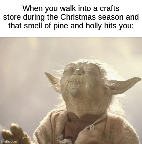 It smells SO good! This also goes for (me at least) when you take out the decorations again in December | When you walk into a crafts store during the Christmas season and that smell of pine and holly hits you: | image tagged in satisfied yoda,memes,funny,christmas,relatable memes,christmas memes | made w/ Imgflip meme maker