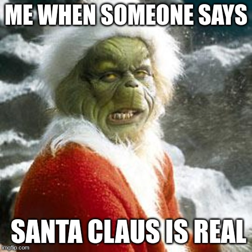 If only they knew.... | ME WHEN SOMEONE SAYS; SANTA CLAUS IS REAL | image tagged in grinch,christmas memes,santa claus,tsk tsk | made w/ Imgflip meme maker