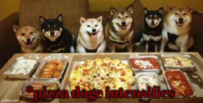 *pizza doge intensifies | made w/ Imgflip meme maker