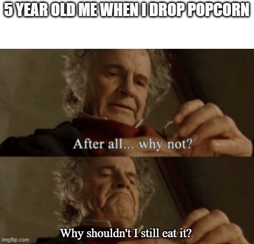 it's not too dusty | 5 YEAR OLD ME WHEN I DROP POPCORN; Why shouldn't I still eat it? | image tagged in after all why not | made w/ Imgflip meme maker