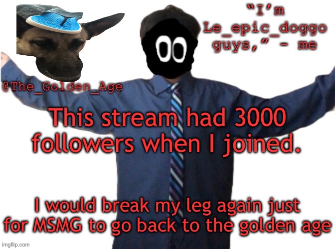 THE GOLDEN AGE WOAH | This stream had 3000 followers when I joined. I would break my leg again just for MSMG to go back to the golden age | image tagged in delted's slippa dawg temp thanks behapp | made w/ Imgflip meme maker