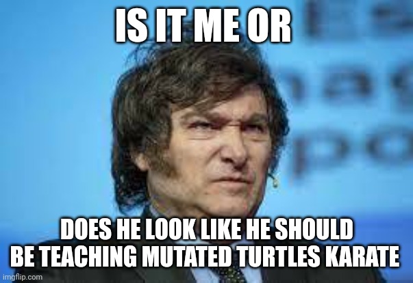 new president | IS IT ME OR; DOES HE LOOK LIKE HE SHOULD BE TEACHING MUTATED TURTLES KARATE | image tagged in political meme | made w/ Imgflip meme maker