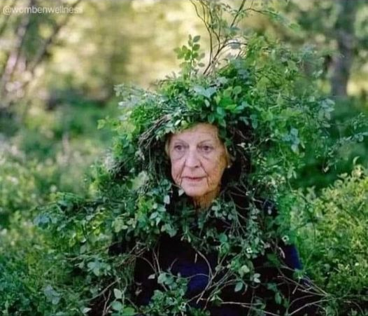 OLD LADY HIDING IN THE HEDGE Blank Meme Template